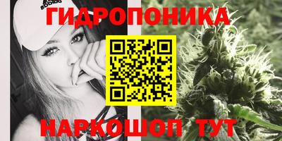 спиды Новокубанск