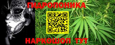 спиды Новокубанск