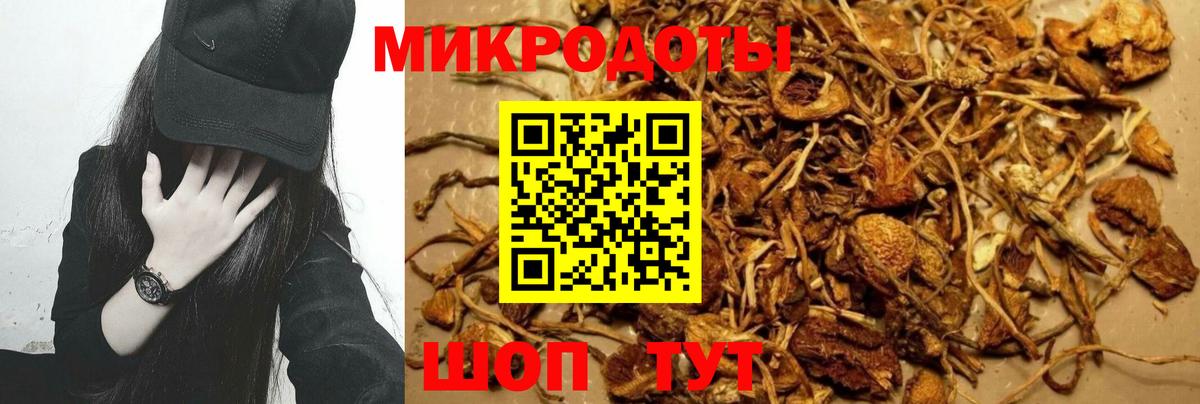 Славянск-на-Кубани  Галлюциногенные грибы прущие грибы  Вход с VPN  Галлюциногенные грибы ЛСД 